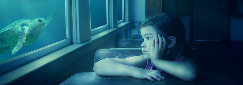 Corporate Social Responsibility